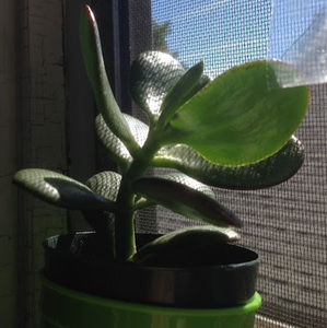 Meet your Posher, Gabby